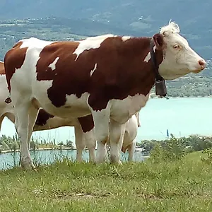 Avec Vue Embrun